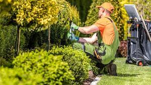 LANDSCAPER